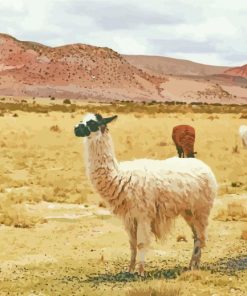 Desert Alpaca Paint By Number