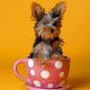 Dog In The Cup Paint By Number