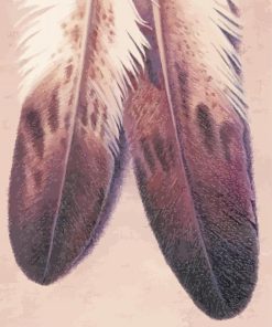 Eagle Feather Paint By Number