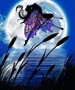 Fairy Butterfly Wings Paint By Number