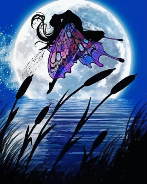 Fairy Butterfly Wings Paint By Number
