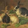 Four Rabbits Paint By Number