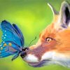 Fox Butterfly Art Paint By Number