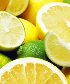 Fresh Lemons And Limes Paint By Number