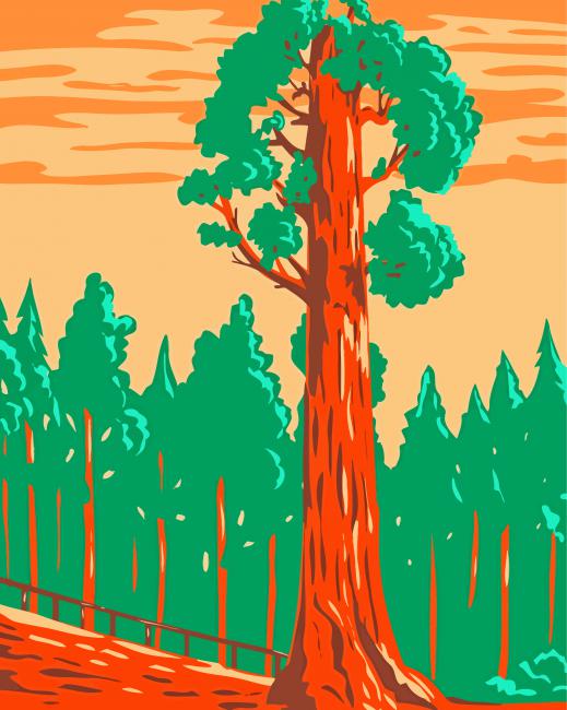 Giant Sequoia Tree Paint By Numbers