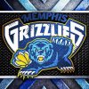 Grizzlies Logo Paint By Numbers
