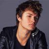 Handsome Actor Ansel Elgort Paint By Number