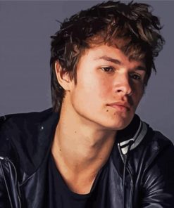 Handsome Actor Ansel Elgort Paint By Number