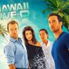 Hawaii Five O Poster Paint By Number