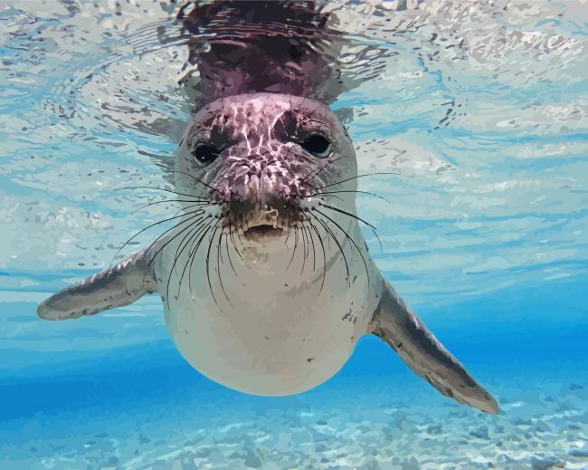 Hawaiian Monk Seal Paint By Numbers