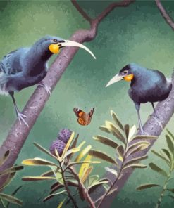 Huia Birds Paint By Numbers
