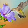 Hummingbird And Bee Paint By Numbers
