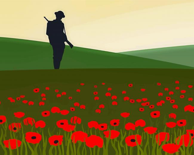 Illustration Soldier In Poppy Field Paint By Numbers