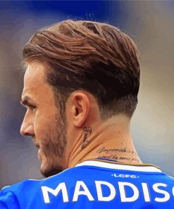 James Maddison Football Player Back Paint By Numbers
