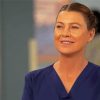 Meredith Grey Serie Character Paint By Numbers
