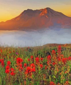 Mt St Helens With Red Poppies Paint By Numbers