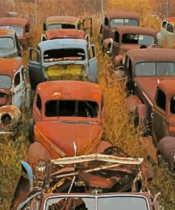 Old Cars In Yard Paint By Numbers