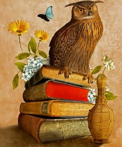 Owl Bird On Books Paint By Number