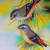 Pardalotes Art Paint By Numbers