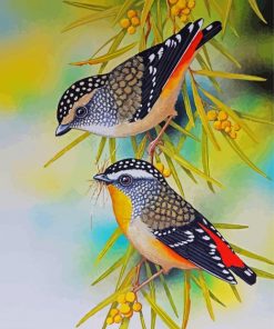 Pardalotes Art Paint By Numbers