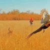 Pheasant Hunting Season Paint By Numbers