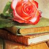 Pink Rose On Books Paint By Number
