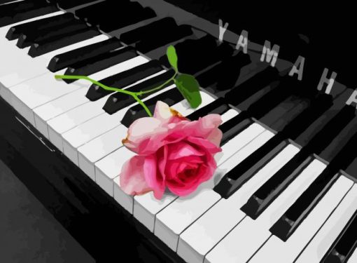 Pink Rose On Piano Paint By Number
