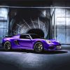Purple Lotus Car Paint By Numbers