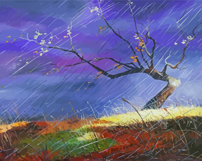 Rain Storm Paint By Numbers