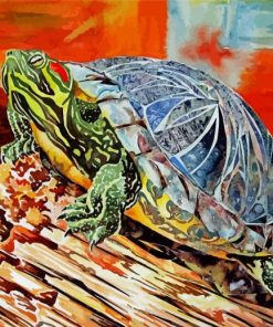 Red Eared Slider Turtle Art Paint By Numbers