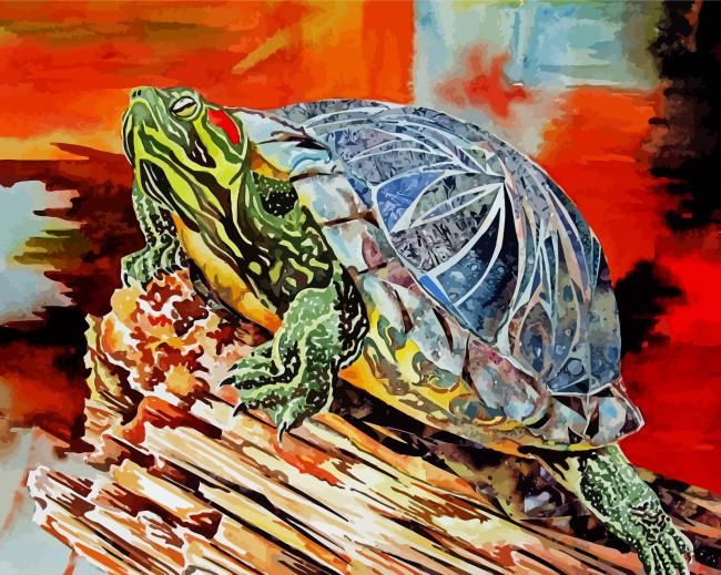 Red Eared Slider Turtle Art Paint By Numbers