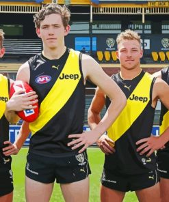 Richmond Tigers Paint By Numbers