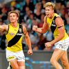 Richmond Tigers Players Paint By Numbers