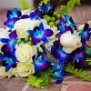 Roses And Blue Orchids Paint By Numbers
