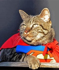 Superhero Cat Paint By Number