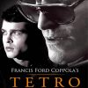Tetro Movie Poster Paint By Numbers