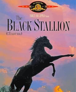 The Black Stallion Paint By Number