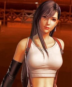 Tifa Lockhart Paint By Numbers