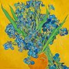 Van Gogh Iris Art Paint By Numbers