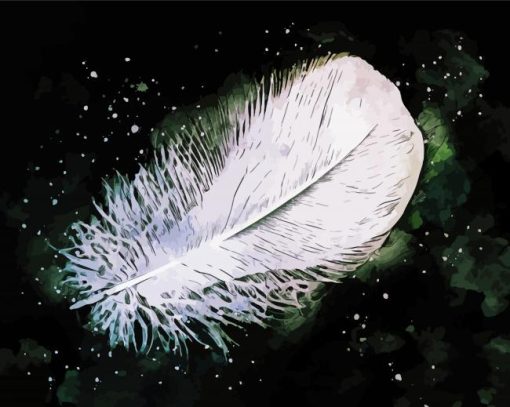 White Feather Paint By Numbers