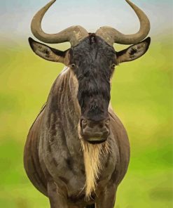 Wildebeest Animal Paint By Numbers