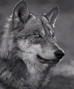 Wolf In Black And White Paint By Numbers