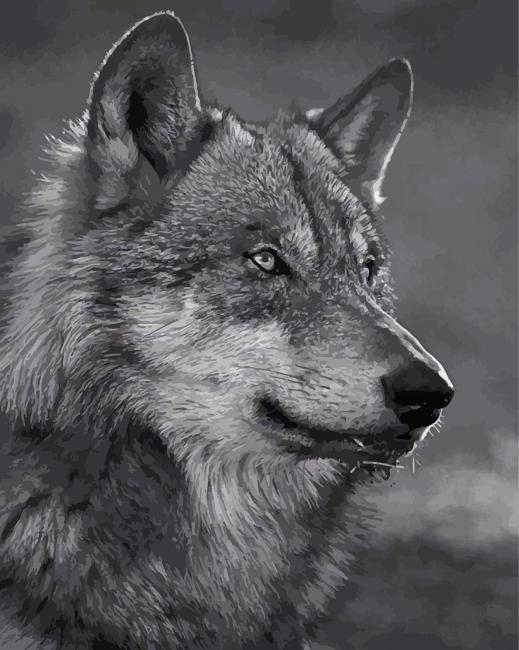 Wolf In Black And White - Paint By Numbers - PremiumPaintByNumbers.COM