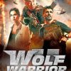 Wolf Warrior Movie Poster Paint By Number