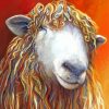 Abstract Sheep Animal Head Paint By Number