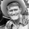 Actor Chuck Connors Paint By Numbers