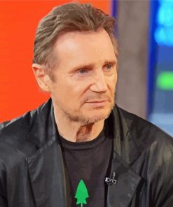 Actor Liam Neeson Paint By Number