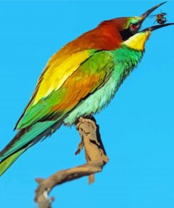 Aesthetic Bee Eater Art Paint By Numbers
