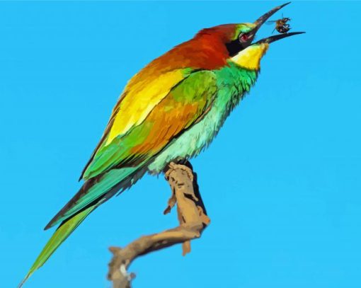 Aesthetic Bee Eater Art Paint By Numbers