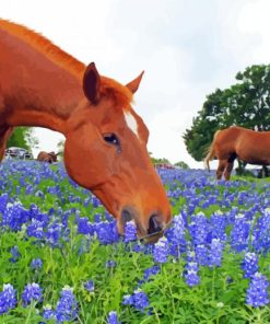 Aesthetic Bluebonnets And Horse Paint By Numbers